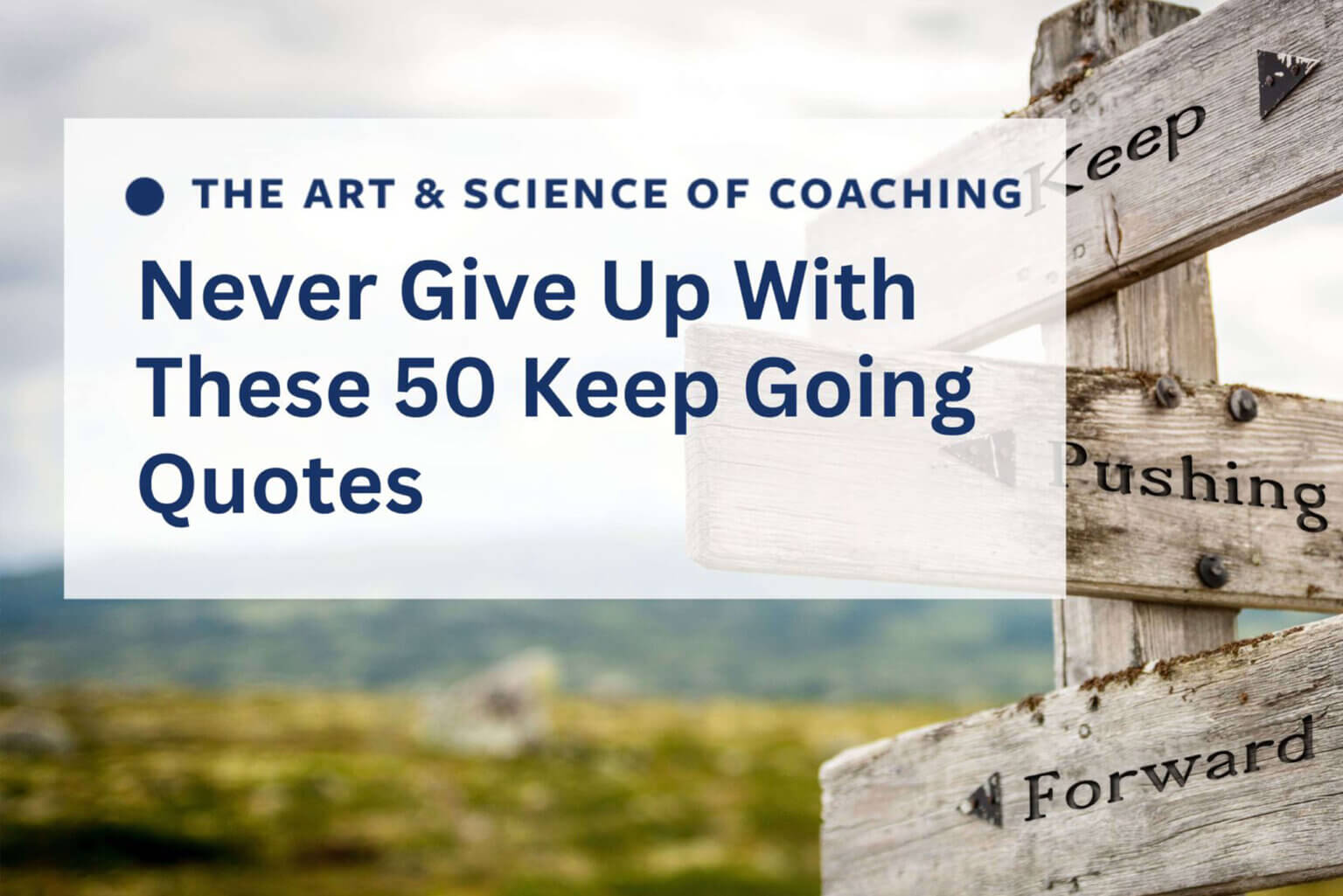 Never Give Up With These 50 Keep Going Quotes Primal Health Coach