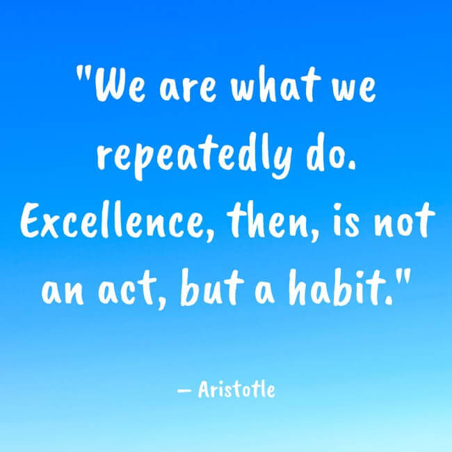 "We are what we repeatedly do. Excellence, then, is not an act, but a habit." – Aristotle