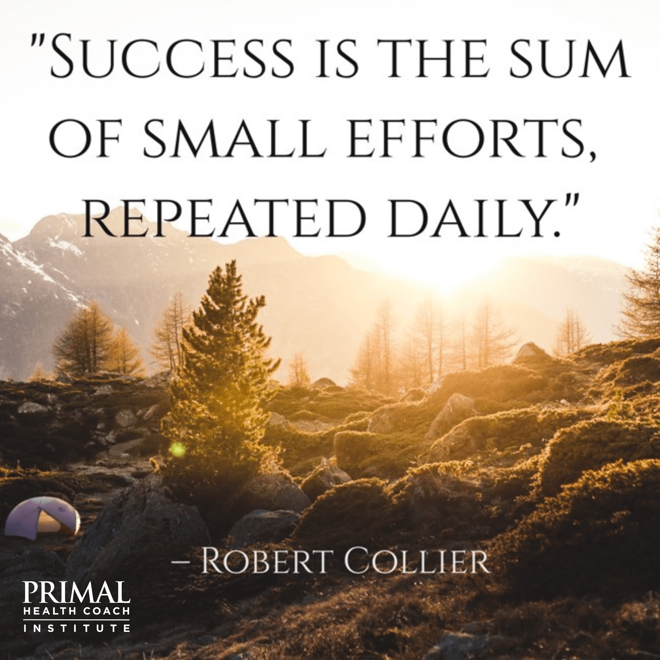 "Success is the sum of small efforts, repeated daily." – Robert Collier